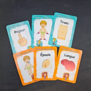Cartes éclair du corps humain
